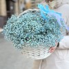 15 голубых гипсофил в корзине